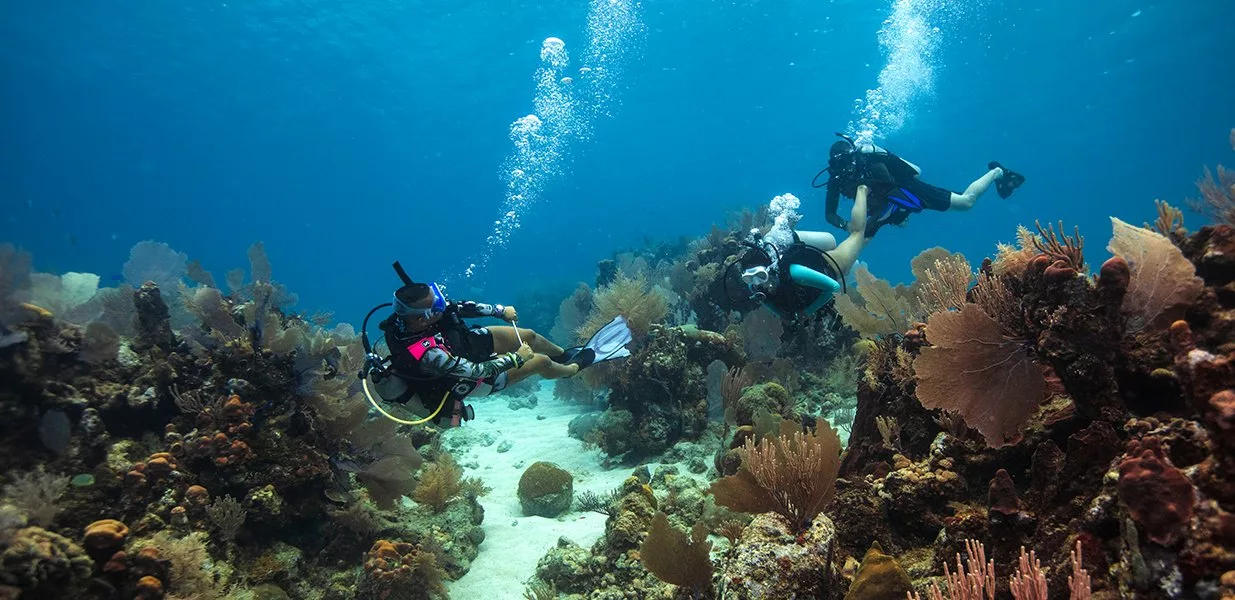 PADI divemaster